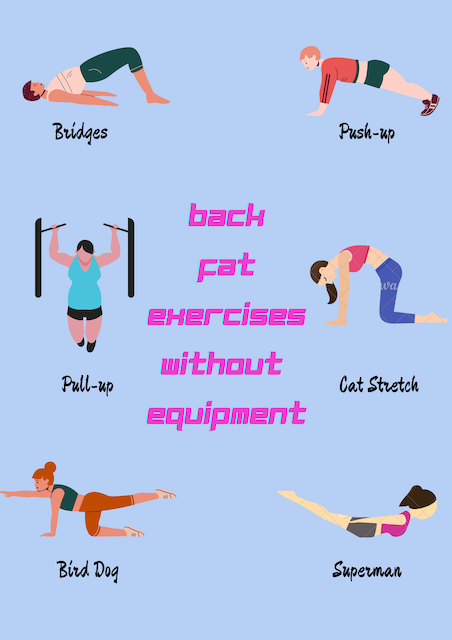 exercise plan