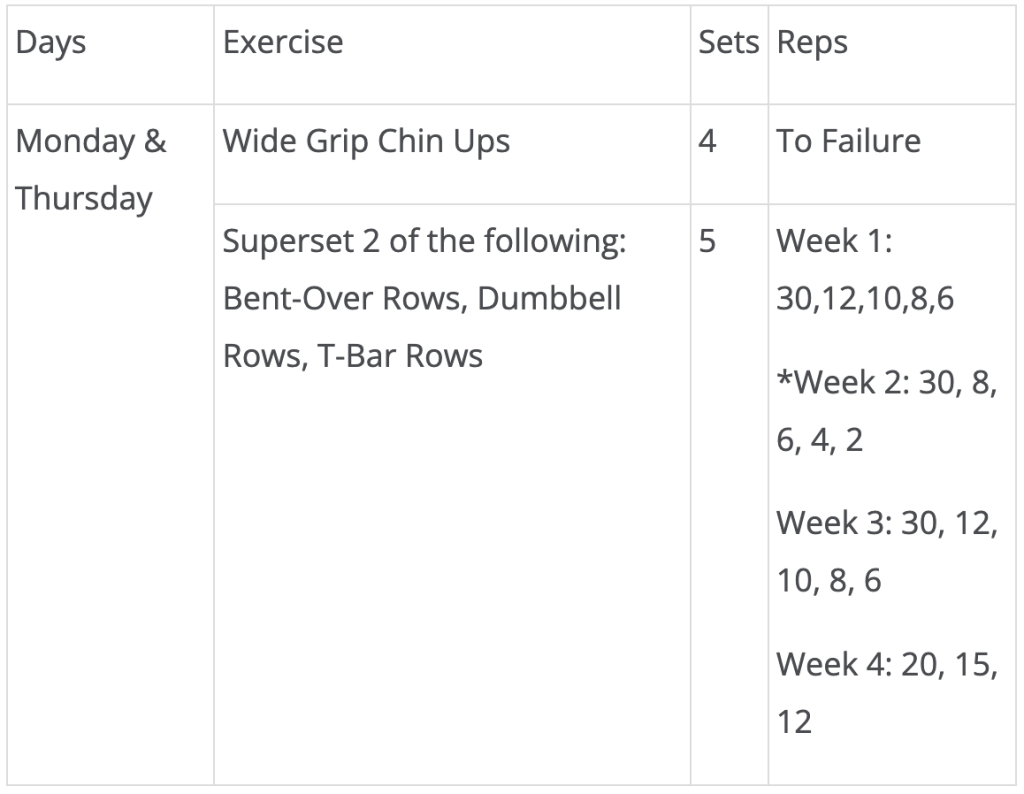 Arnold workout for back