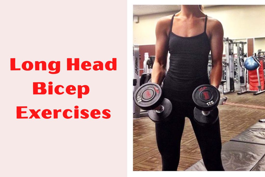 You are currently viewing 6 Best long head bicep exercises