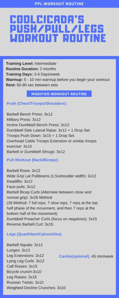 Push pull legs workout routine pdf