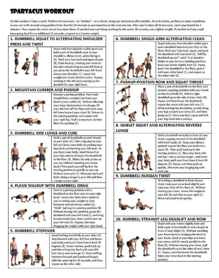 Spartacus workout PDF